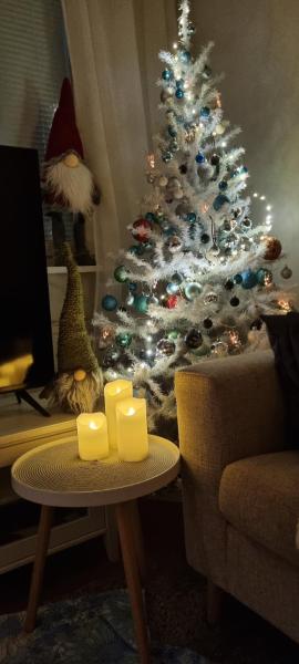 Cozy studio apartment in the center of Rovaniemi